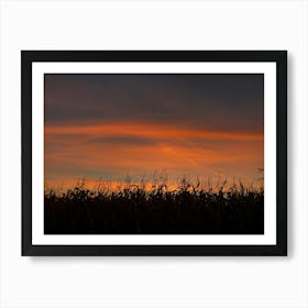 Sunnset Art Print