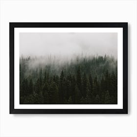 Forest 1 Art Print