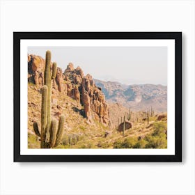 Gold Canyon Desert Art Print