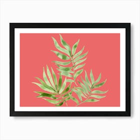 Palm Leaves On A Pink Background Art Print