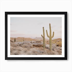 Two Towering Saguaros Art Print