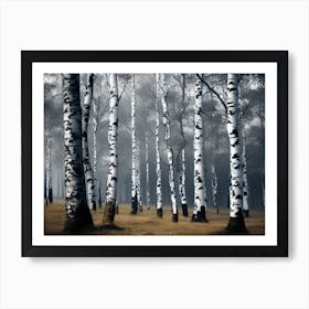 Birch Forest 76 Art Print