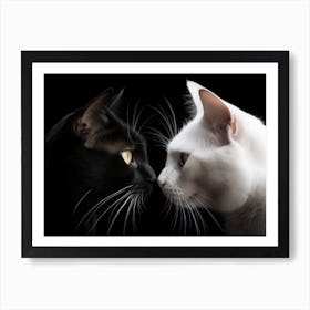 Picture Of Two Cats 1 1 4x3 Art Print