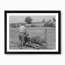 Daughter Of Tenant Farmer Feeding The Hogs Near Muskogee, Oklahoma, See General Caption 20 By Russell Lee Art Print