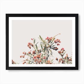 Pink Flower Bush Poster