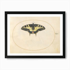 Swallowtail Butterfly (c. 1575-1580), Joris Hoefnagel Art Print