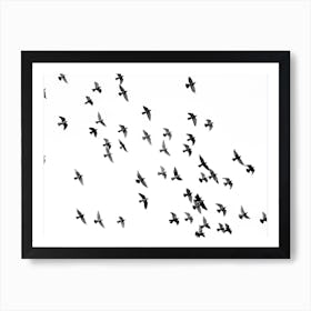Birds Monochrome Office Art Print