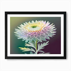 Chrysanthemum 13 Art Print