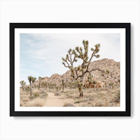 Neutral Desert Art Print