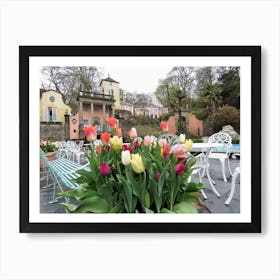 Tulips In The Garden Portmeirion beautiful  Art Print