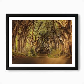 Dark Hedges Art Print