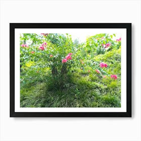 Garden 13 By Binod Dawadi Art Print