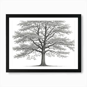 maple tree pencil sketch ultra detailed 5 Art Print