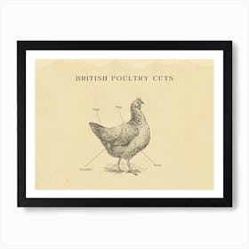 British Poultry Chicken Butcher Cuts Chart Art Print