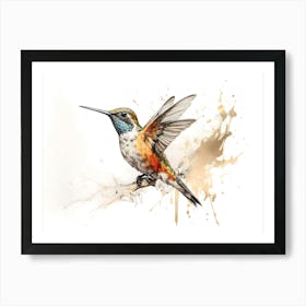 Kolibri Hummingbird - Water Color Painting 8 Art Print