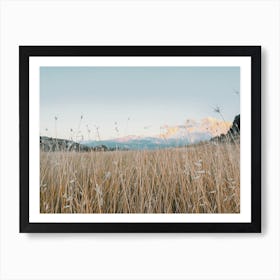 Sunset Over Field Art Print