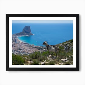 Female mountain goat looks at the Mediterranean coast in Calpe Art Print