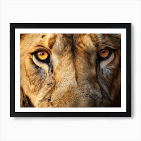 African Lion Eyes Realism Painting4 Art Print
