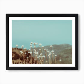 Mountain Flowers Art Print