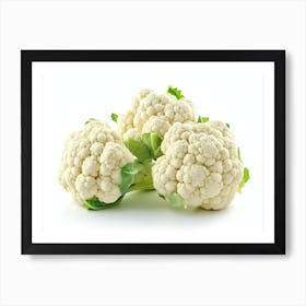 Cauliflower On White Background 4 Art Print