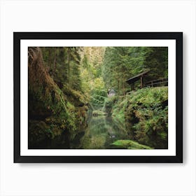 Living In Nature In The Czech Republic Art Print