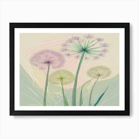 Allium 21 Art Print