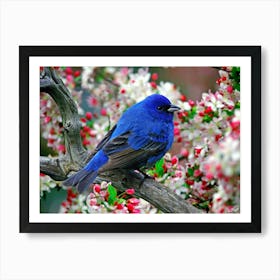 The blue bird Art Print