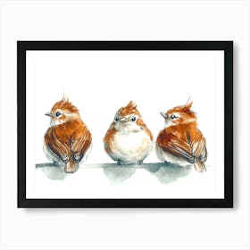 Three Birds On A Branch Art Print