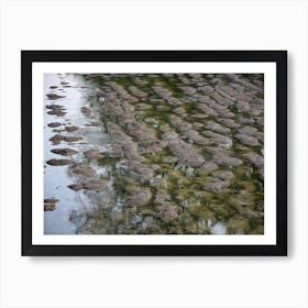 Reflections In Water Art Print