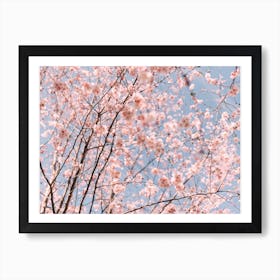 Blossom Art Print