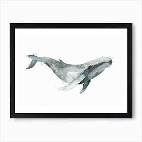 Sea Life Blue Whale Art Print