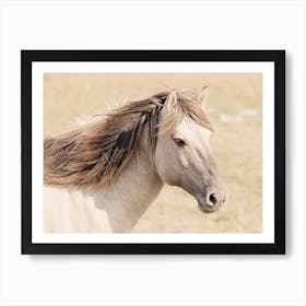 Dun Horse Art Print