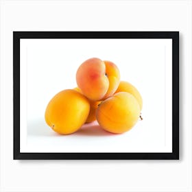 Apricots 7 Art Print