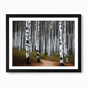 Birch Forest 82 Art Print