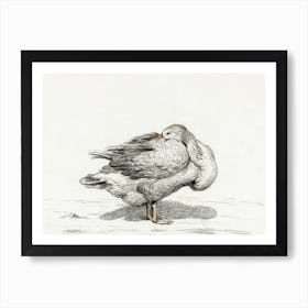 Goose, Jean Bernard Art Print