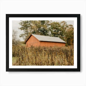 Old Red Barn Art Print