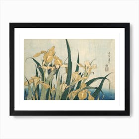 Irises With A Grasshopper Art Print