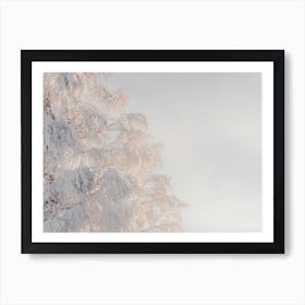 Frozen Tree In The Snow Art Print