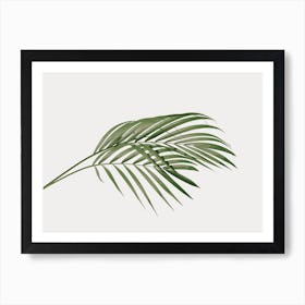 Minimalist Green Leaf Art Print