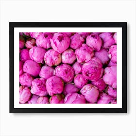 Pink Peonies Art Print