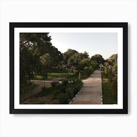 Park In Egypt Art Print