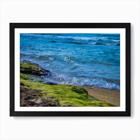 Green Algae On A Rock On Coastline Of The Blue Sea Art Print