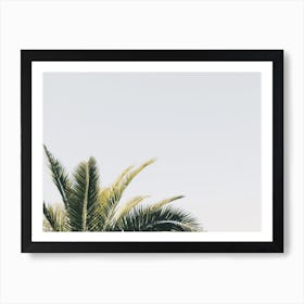 Palm Leaf Sky Art Print