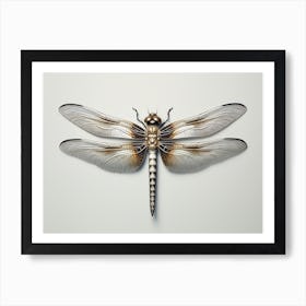 Dragonfly Common Whitetail Plathemis Illustration Vintage 10 Art Print