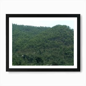 Forests By Binod Dawadi Art Print