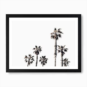 Moody Palm Trees Art Print