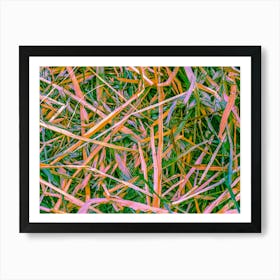 Grass Texture 202304161710149rt1pub Art Print