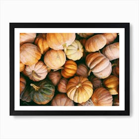 Small Pumpkins Art Print