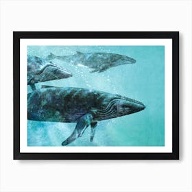 Whale Pod Art Print