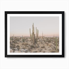 Pink Cactus Sunset Art Print
